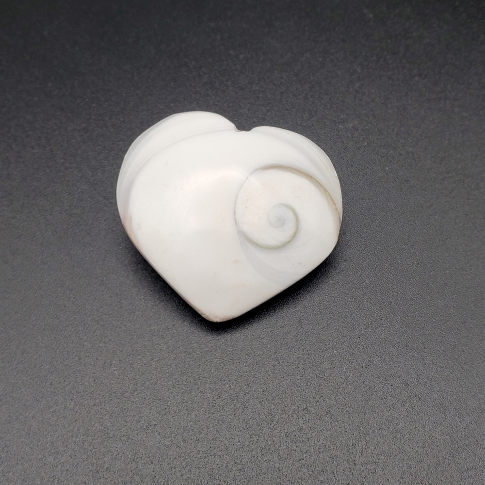 Shiva Shell Heart
